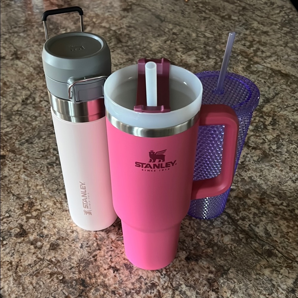 Stanley Tumbler Bundle